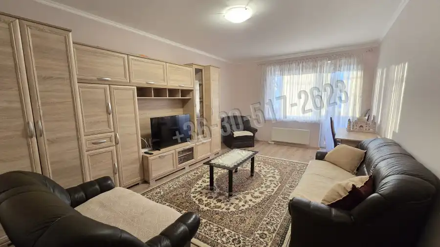 Albérlet, kiadó téglalakás, Paks