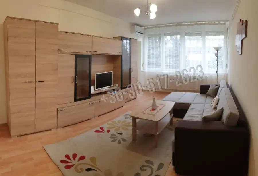 Albérlet, kiadó téglalakás, Paks