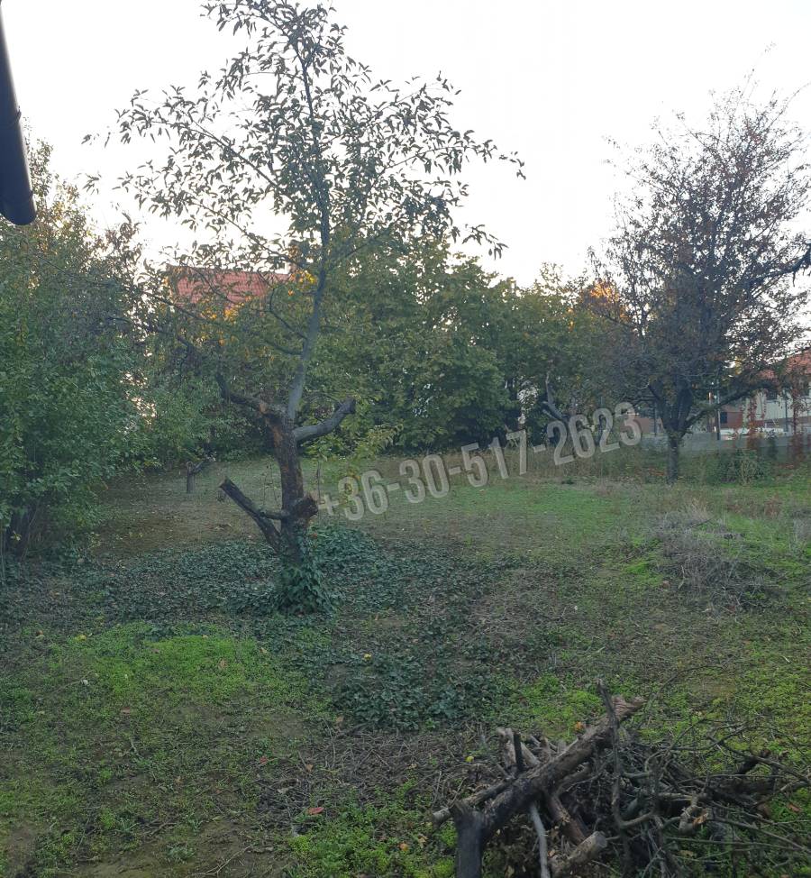 eladó  Építési telek, Paks